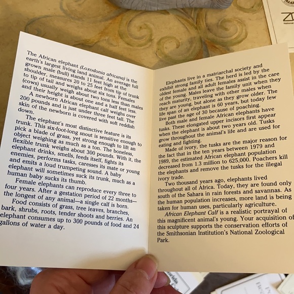 Lenox African Elephant Calf Figurine in Gray - Picture 3 of 8